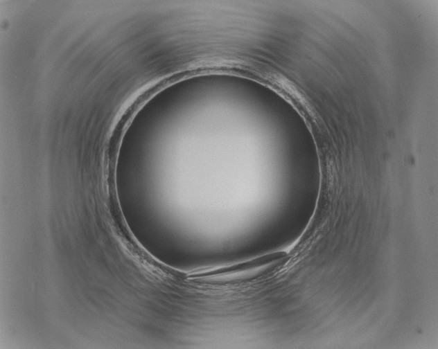 X0000072981124200608041236