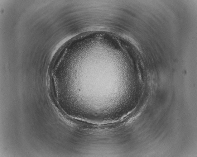 X0000072981125200608041236