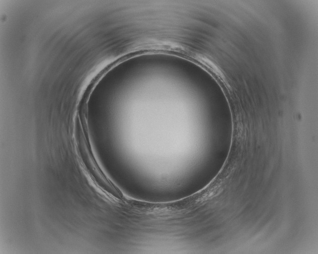 X0000072981128200608041236