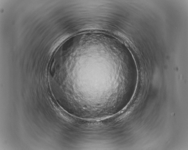 X0000072981129200608041236