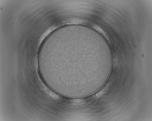 X0000072981130200608041236