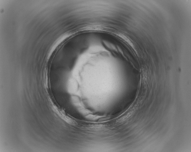 X0000072981131200608041236