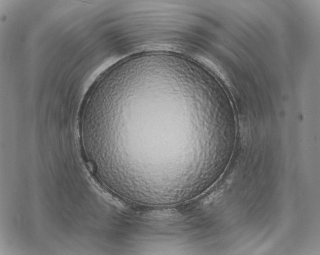 X0000072981133200608041236