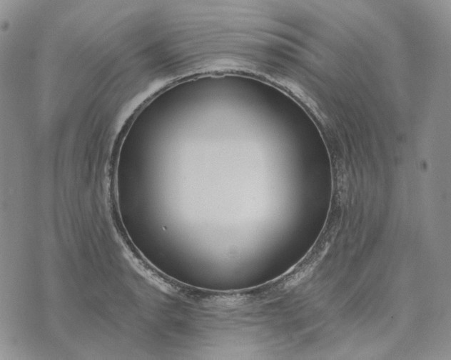 X0000072981134200608041236