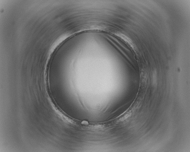 X0000072981135200608041236