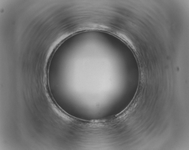 X0000072981136200608041236