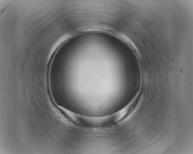 X0000072981138200608041236