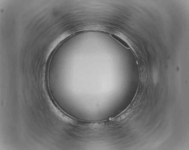 X0000072981139200608041236