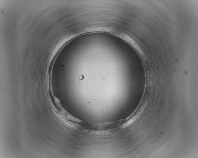 X0000072981140200608041236