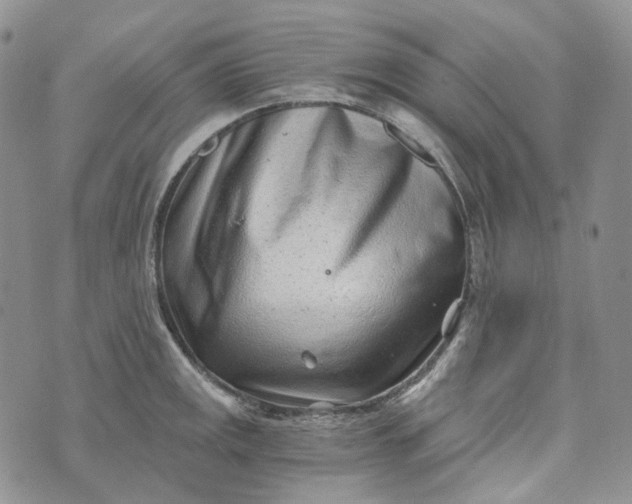 X0000072981141200608041236