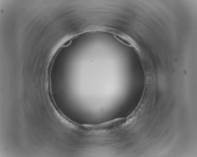 X0000072981143200608041237