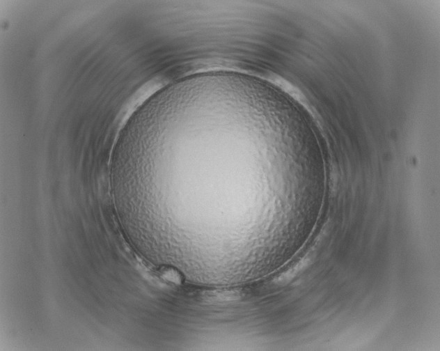 X0000072981145200608041237