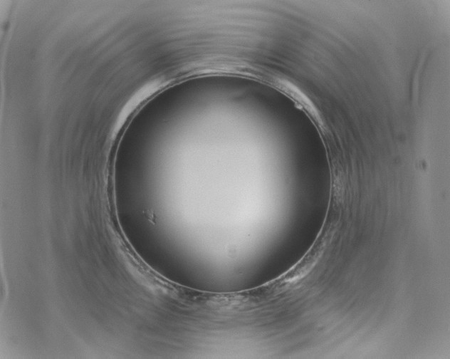 X0000072981146200608041237