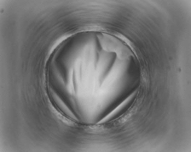 X0000072981147200608041237