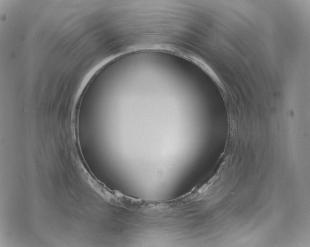 X0000072981148200608041237