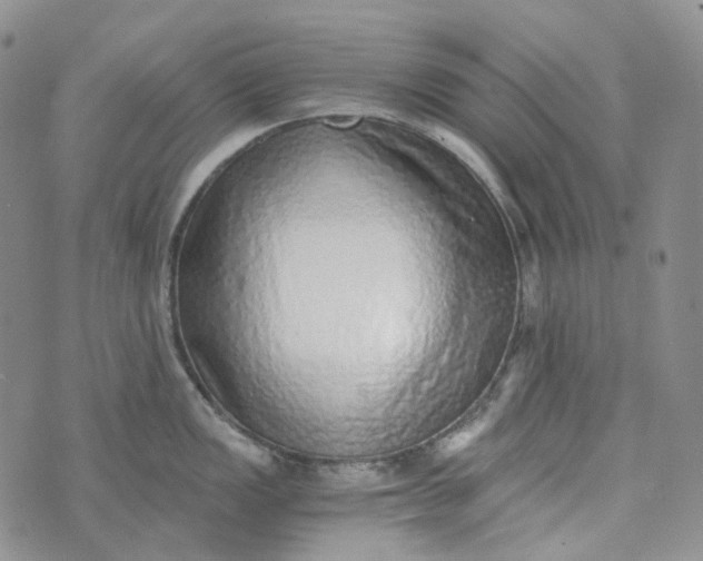 X0000072981149200608041237