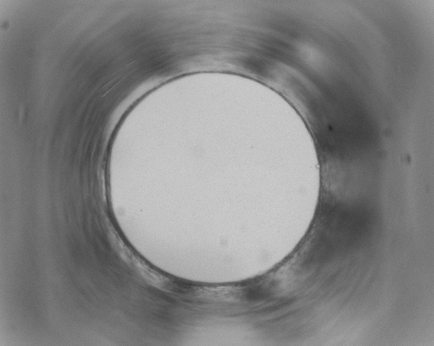 X0000072981150200608041237