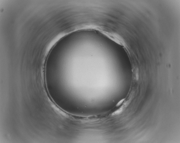 X0000072981151200608041237