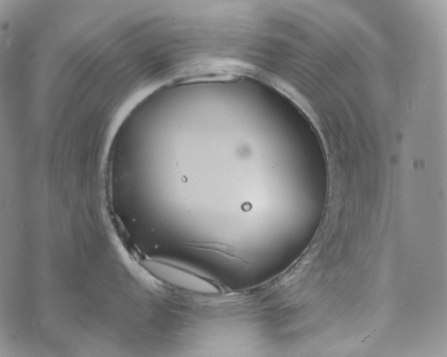 X0000072981152200608041237