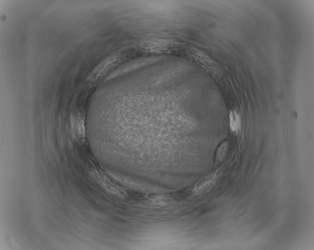 X0000072981155200608041236