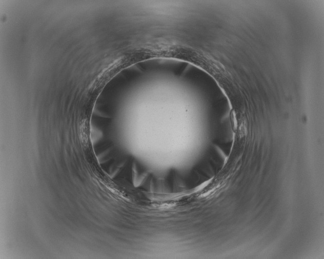 X0000072981156200608041236