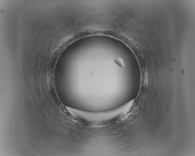 X0000072981157200608041236