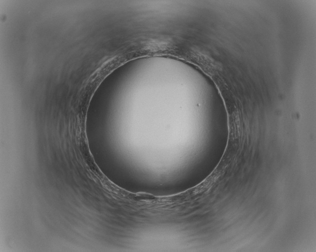 X0000072981158200608041236