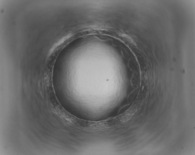 X0000072981159200608041236