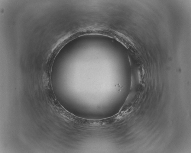 X0000072981160200608041236