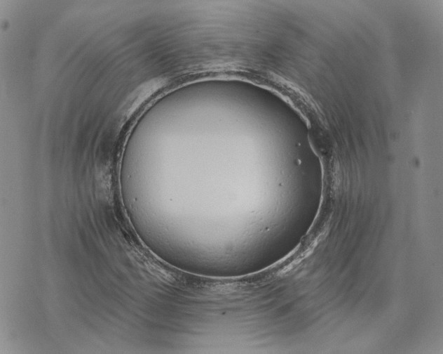 X0000072981162200608041236