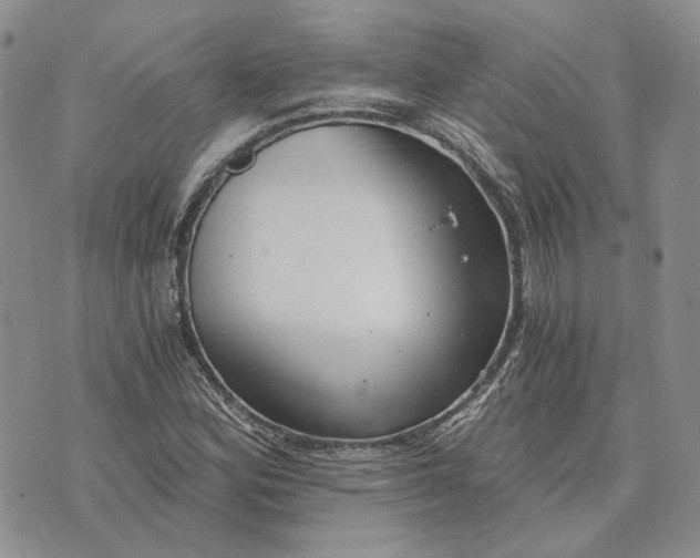 X0000072981164200608041236