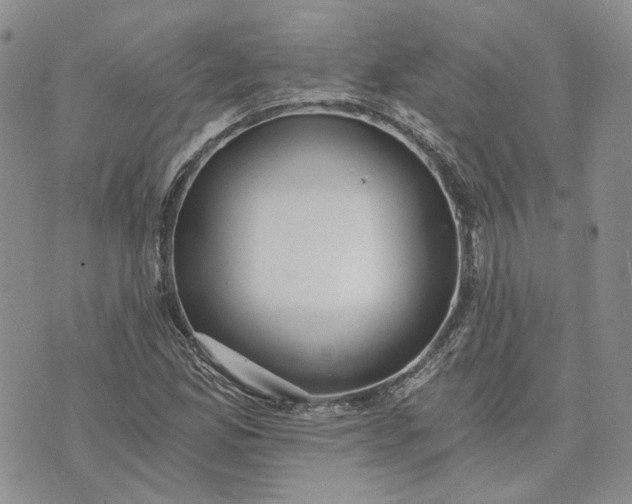 X0000072981165200608041236