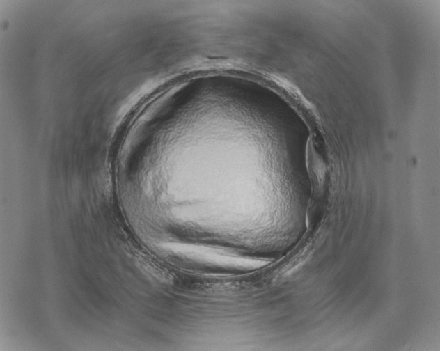 X0000072981167200608041236