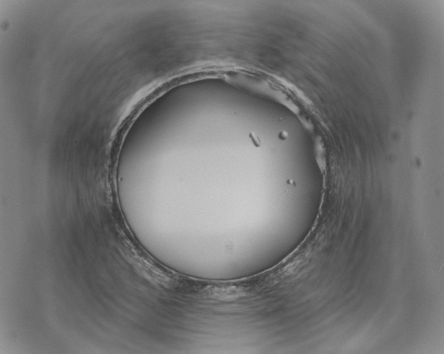 X0000072981168200608041236