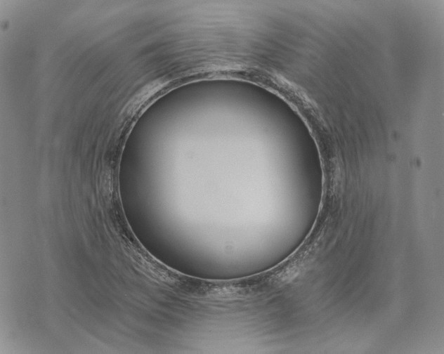 X0000072981169200608041236