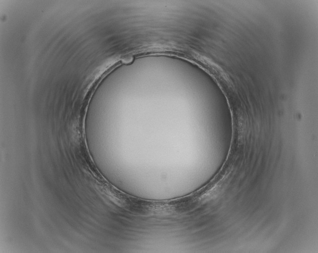 X0000072981170200608041236