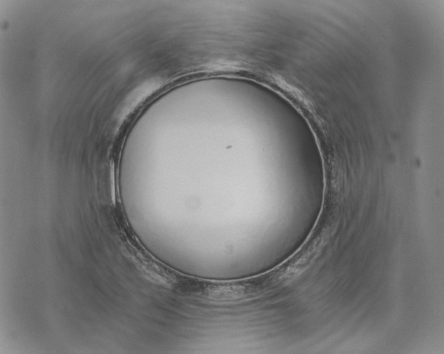 X0000072981171200608041236