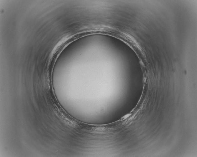 X0000072981172200608041236