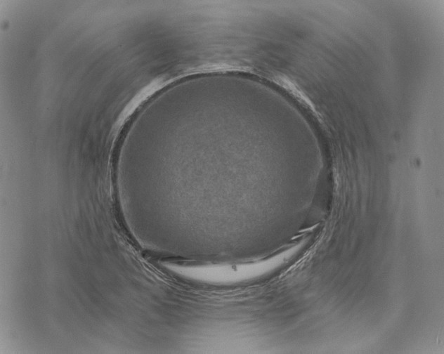 X0000072981173200608041236