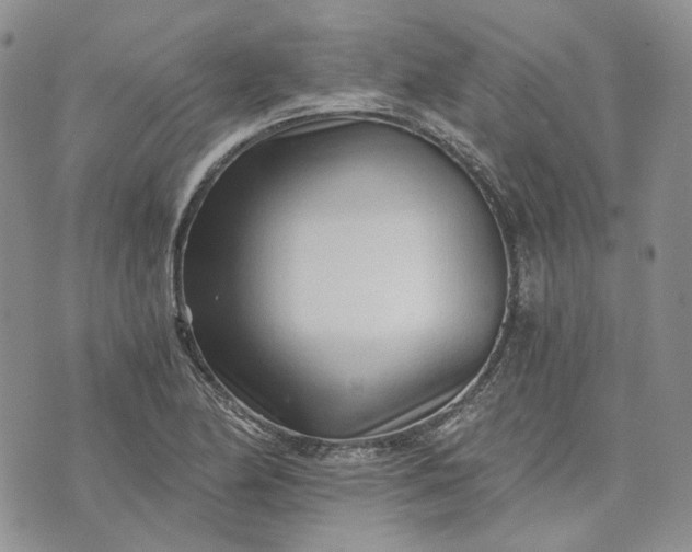 X0000072981174200608041236