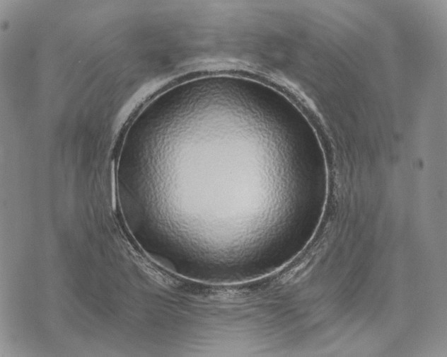 X0000072981175200608041236