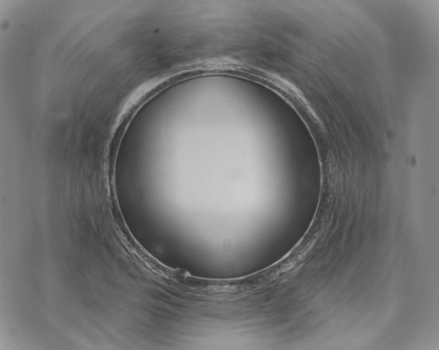 X0000072981176200608041235