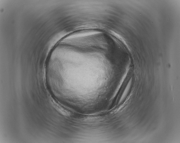 X0000072981179200608041235