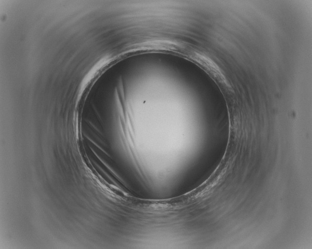 X0000072981180200608041235