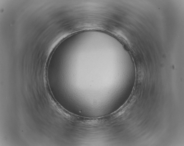 X0000072981182200608041235