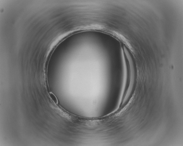 X0000072981184200608041235