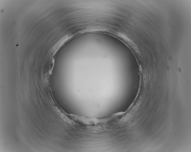 X0000072981185200608041235