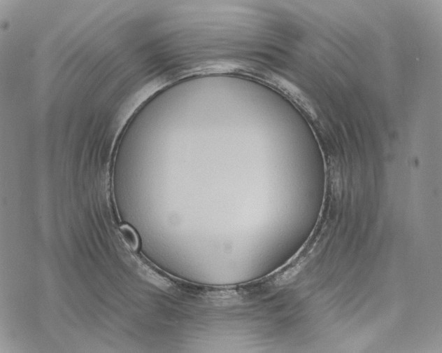 X0000072981186200608041235