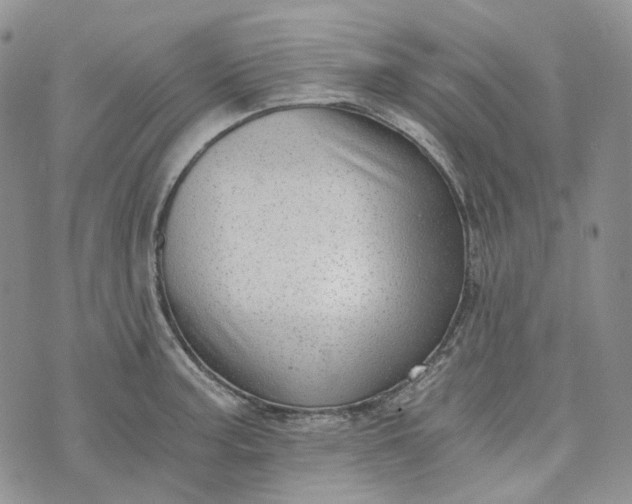 X0000072981187200608041235