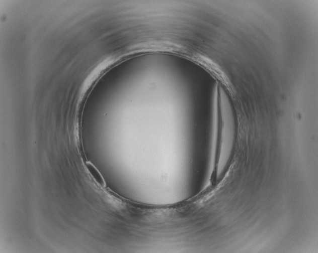 X0000072981188200608041235